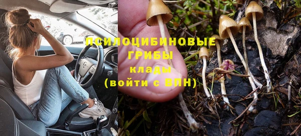 амф Алексеевка