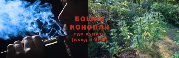 спиды Алзамай