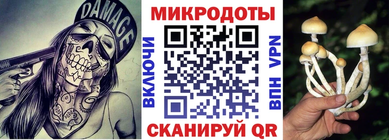 Галлюциногенные грибы прущие грибы  где купить наркотик  Каменск-Уральский 