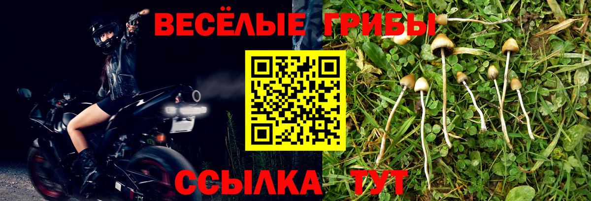 Галлюциногенные грибы ЛСД  Вход с VPN  хочу наркоту  Псилоцибиновые грибы мицелий  Каменск-Уральский 