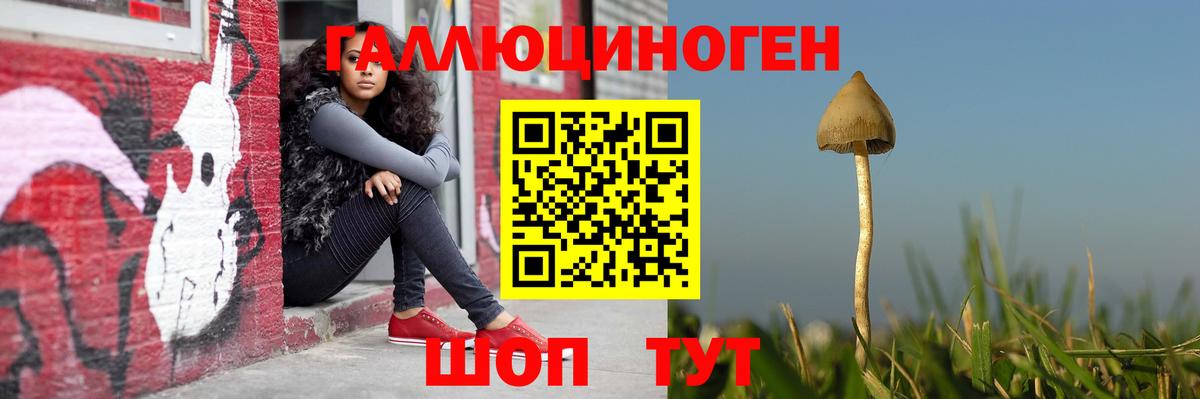 Псилоцибиновые грибы Psilocybe Каменск-Уральский